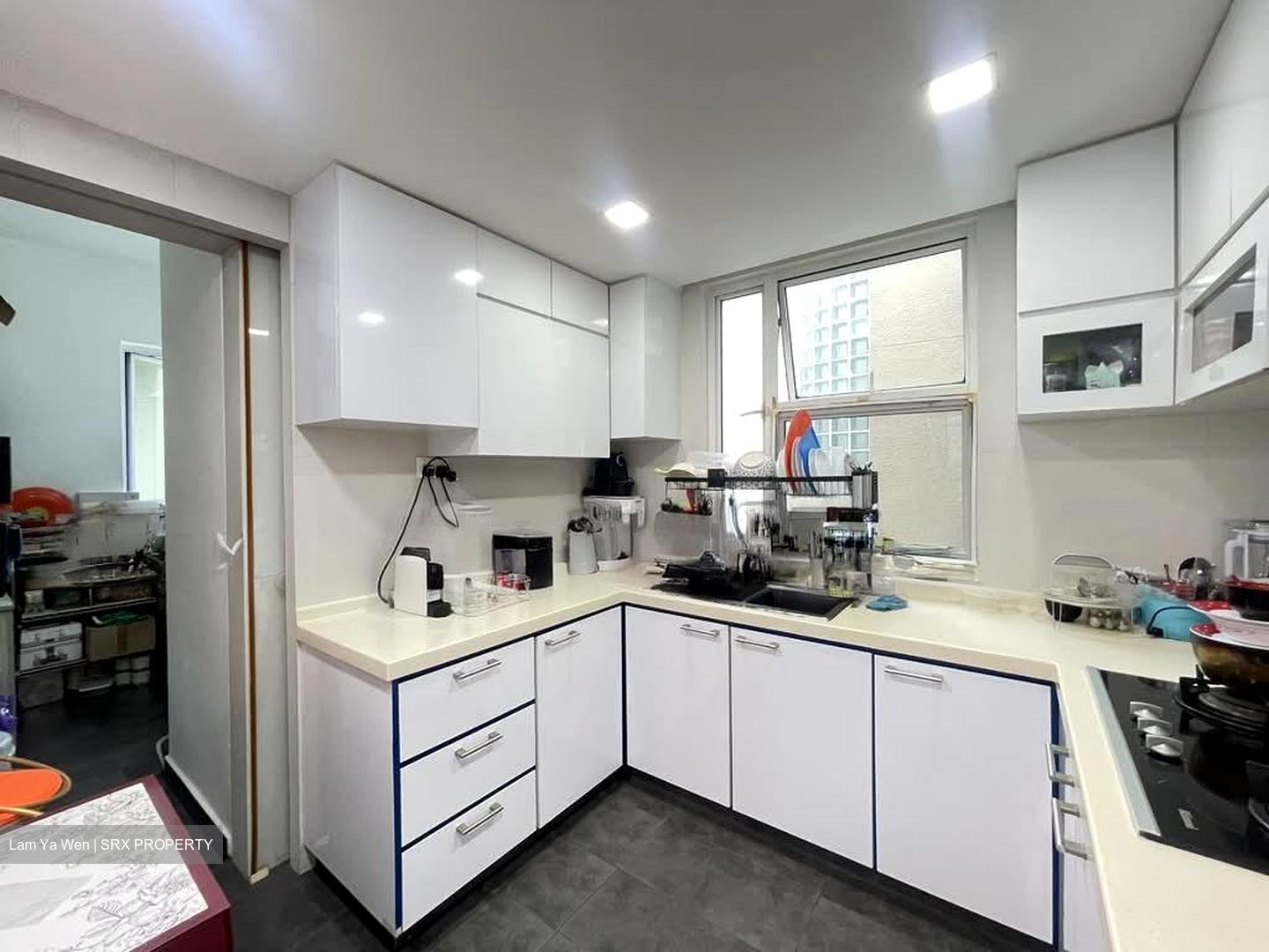 Dahlia Park Condominium (D17), Condominium #529442321
